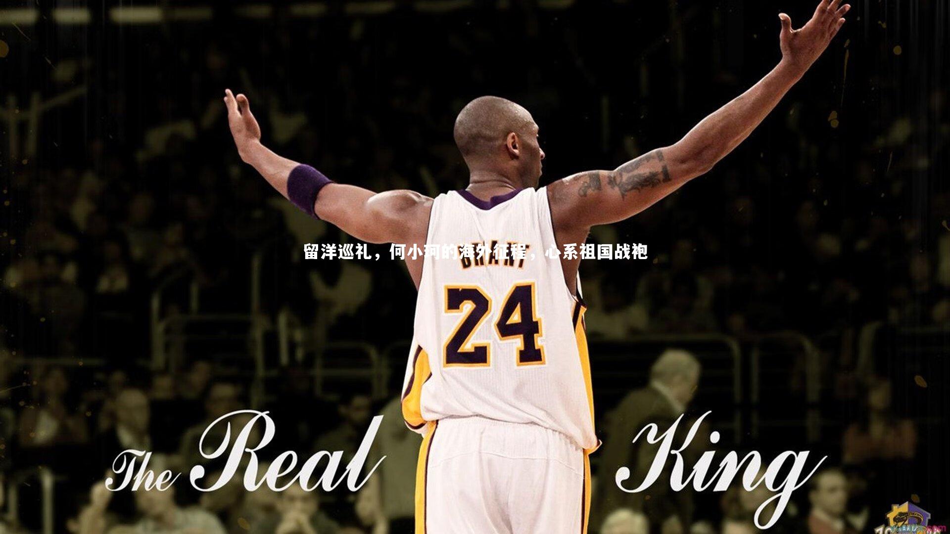 留洋巡礼，何小珂的海外征程，心系祖国战袍